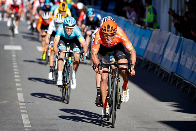 Greg Van Avermaet